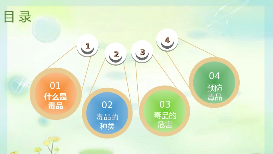 中小学-珍爱生命，远离毒品2-课件.ppt_第3页