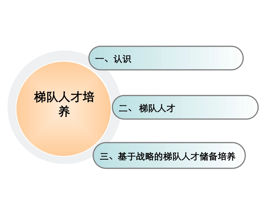 基于战略的梯队人才培养培训课件.ppt_第2页