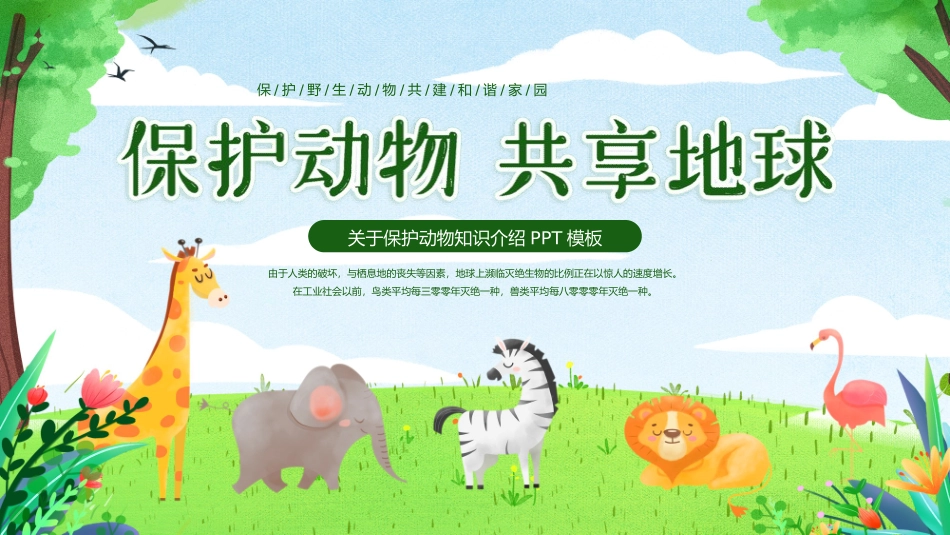 保护野生动物3.pptx_第1页