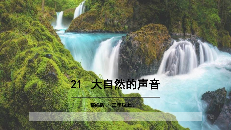 部编版三年级上册语文《大自然的声音》课件5.pptx_第1页