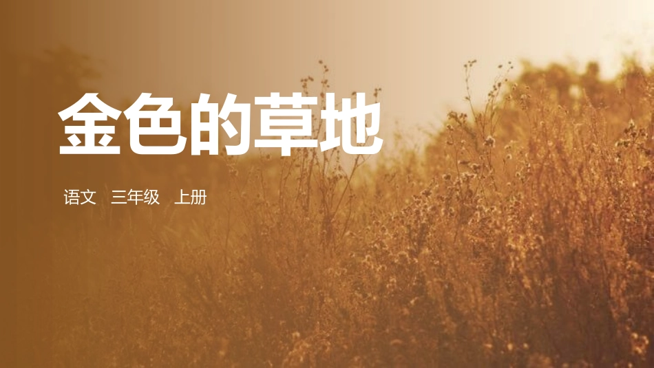 部编版三年级上册语文《金色的草地》课件6.pptx_第1页