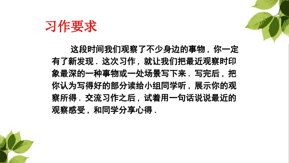 部编版三年级上册语文《我们眼中的缤纷世界》课件3.pptx_第2页