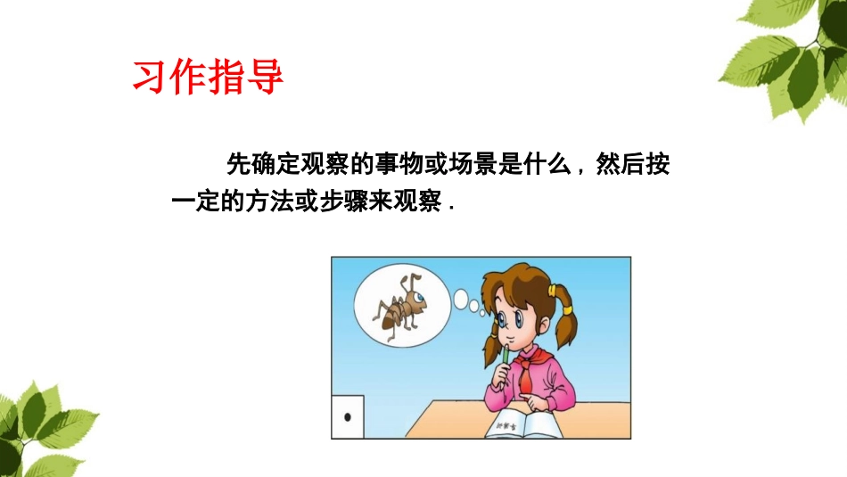 部编版三年级上册语文《我们眼中的缤纷世界》课件3.pptx_第3页