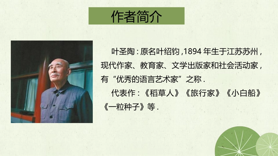 部编版三年级下册语文《荷花》课件4.pptx_第2页