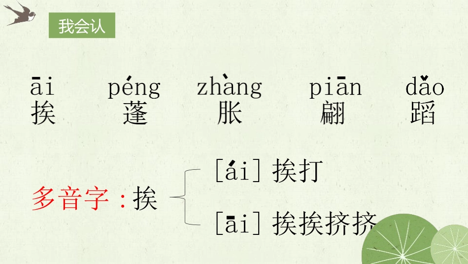 部编版三年级下册语文《荷花》课件4.pptx_第3页