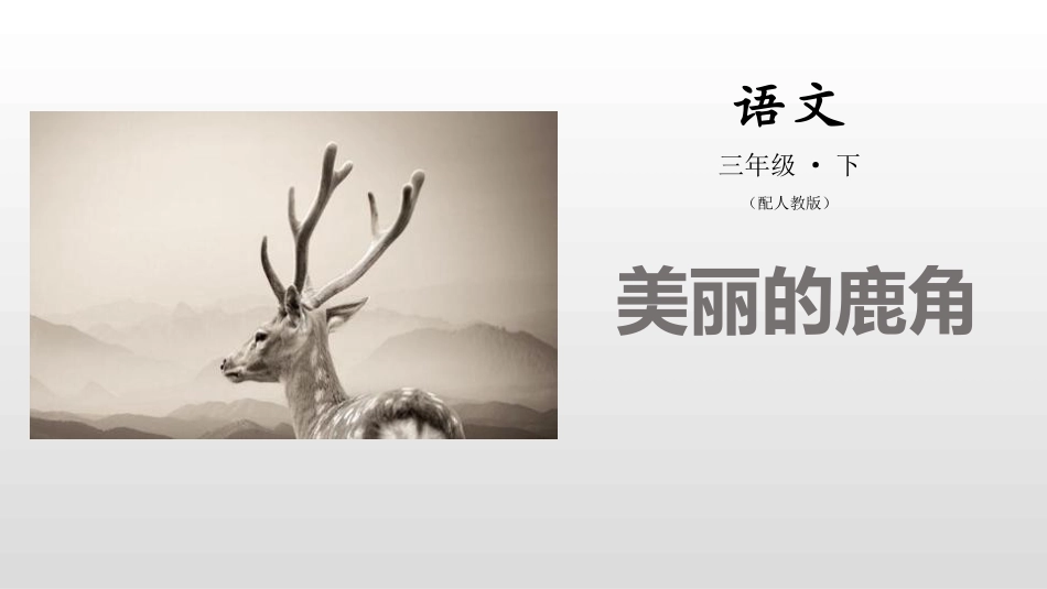 部编版三年级下册语文《美丽的鹿角》课件1.pptx_第1页