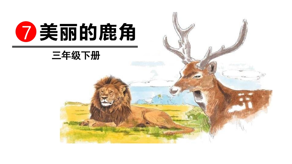 部编版三年级下册语文《美丽的鹿角》课件5.pptx_第1页