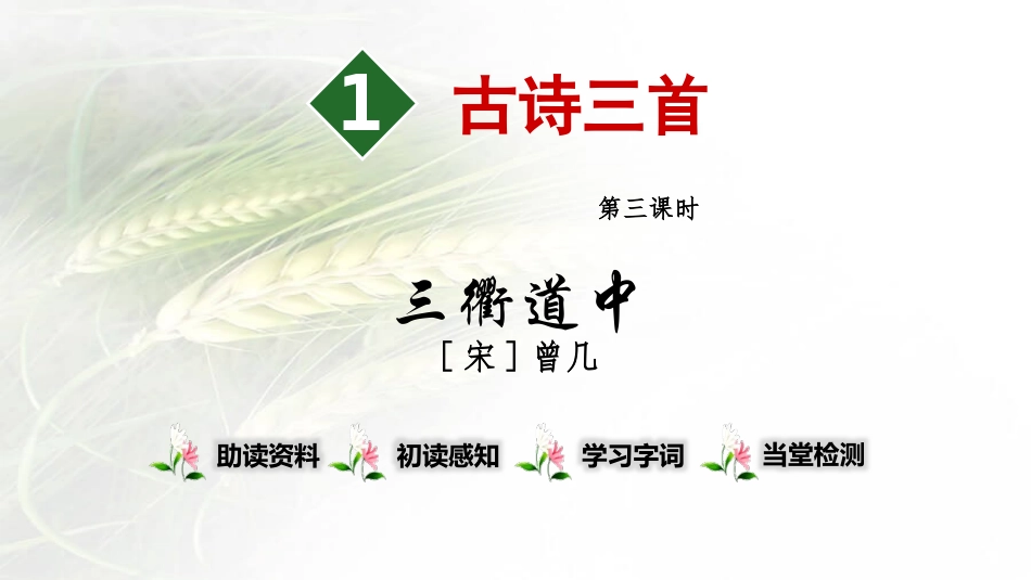 部编版三年级下册语文《三衢道中》课件3.pptx_第1页