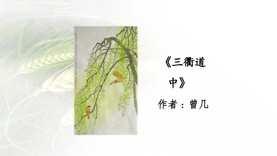 部编版三年级下册语文《三衢道中》课件3.pptx_第2页
