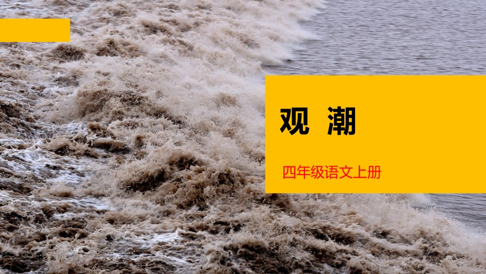 部编版四年级上册语文《观潮》课件8.pptx_第1页