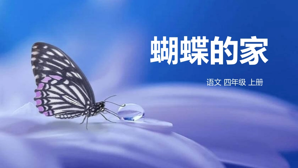 部编版四年级上册语文《蝴蝶的家》课件3.pptx_第1页