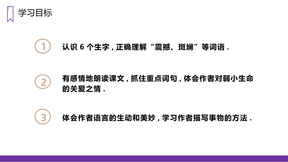 部编版四年级上册语文《蝴蝶的家》课件3.pptx_第2页