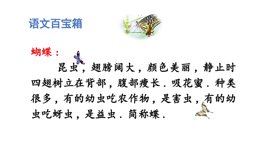 部编版四年级上册语文《蝴蝶的家》课件6.pptx_第3页