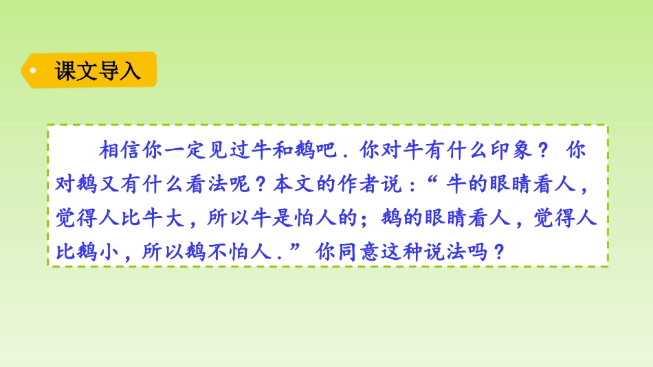 部编版四年级上册语文《牛和鹅》课件8.pptx_第2页