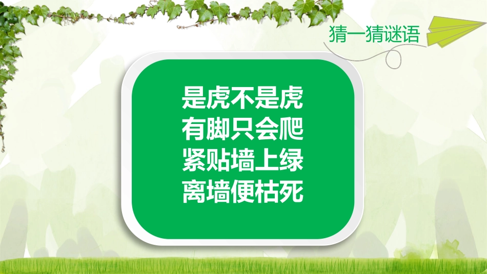 部编版四年级上册语文《爬山虎的脚》课件2.pptx_第2页