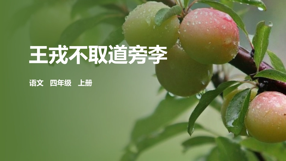部编版四年级上册语文《王戎不取道旁李》课件3.pptx_第1页