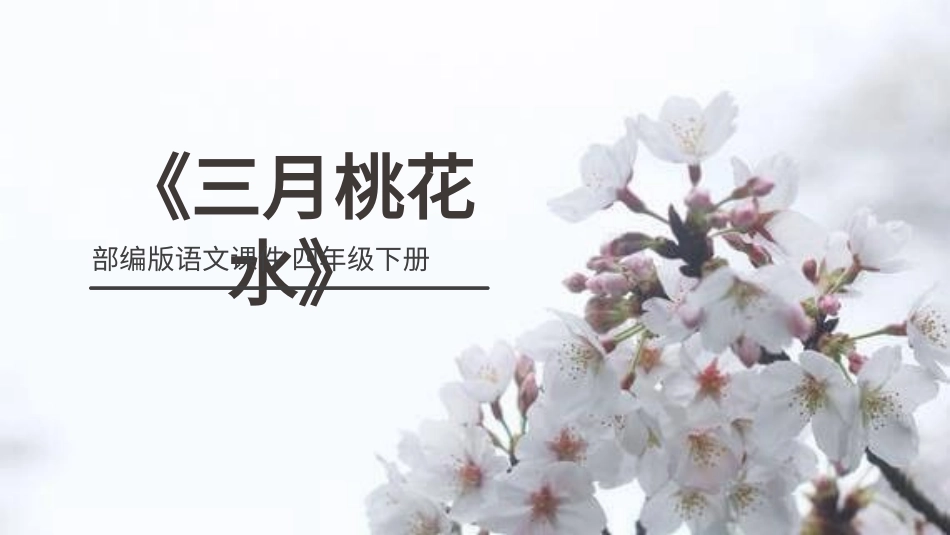 部编版四年级下册语文《三月桃花水》课件1.pptx_第1页