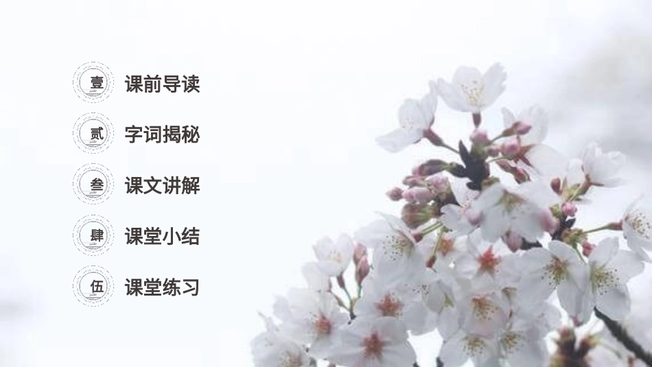 部编版四年级下册语文《三月桃花水》课件1.pptx_第2页