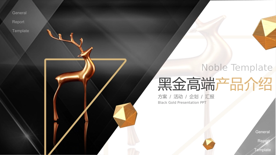 产品介绍模板4.pptx_第1页