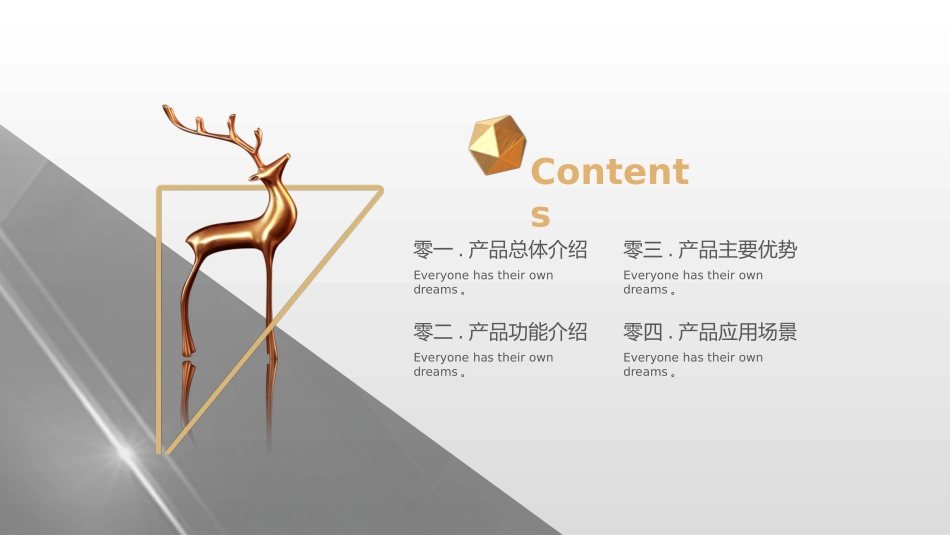 产品介绍模板4.pptx_第2页
