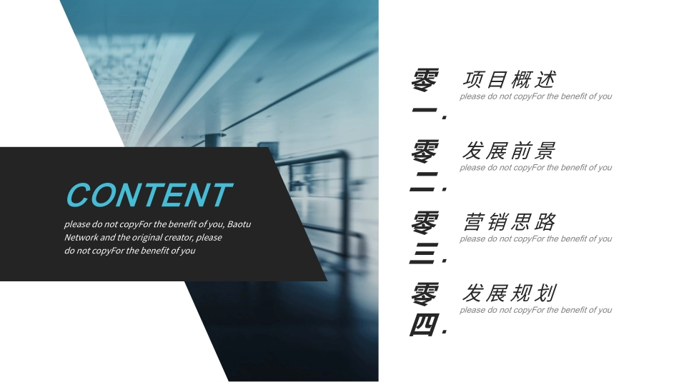 大气商务项目计划书模板.pptx_第2页