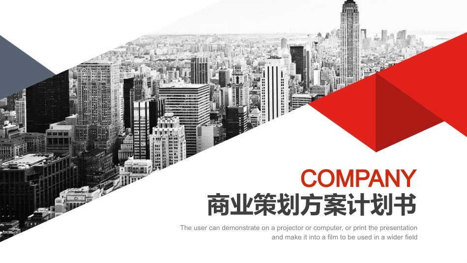 大气商业策划方案计划书模板.pptx_第1页
