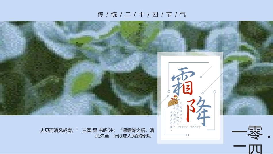 二十四节气 霜降模板7.pptx_第1页