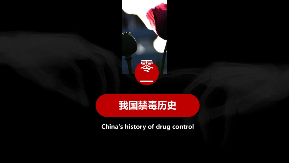 珍爱生命远离毒品禁毒教育10.pptx_第3页
