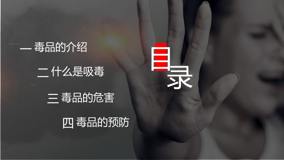 珍爱生命远离毒品禁毒教育13.pptx_第2页
