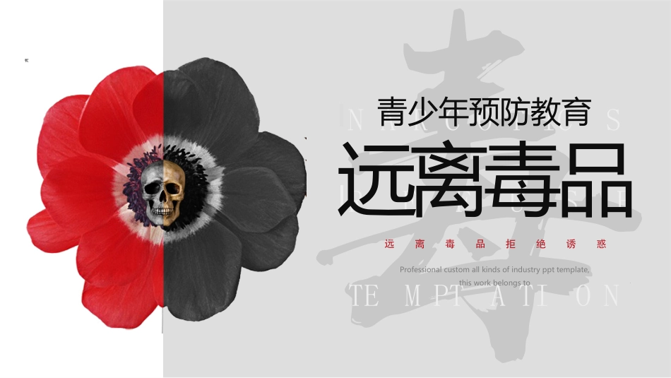 珍爱生命远离毒品禁毒教育14.pptx_第1页