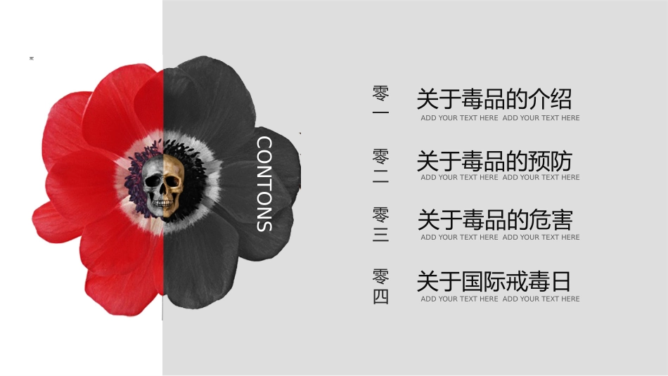 珍爱生命远离毒品禁毒教育14.pptx_第2页