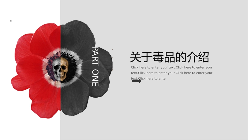 珍爱生命远离毒品禁毒教育14.pptx_第3页