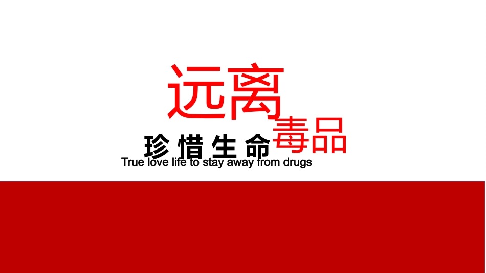 珍爱生命远离毒品禁毒教育29.pptx_第1页