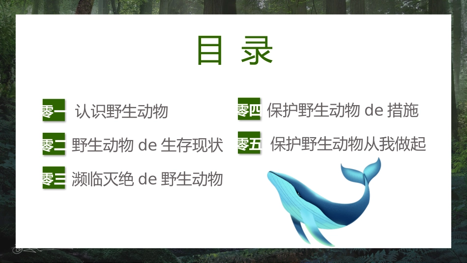 保护野生动物13.pptx_第2页