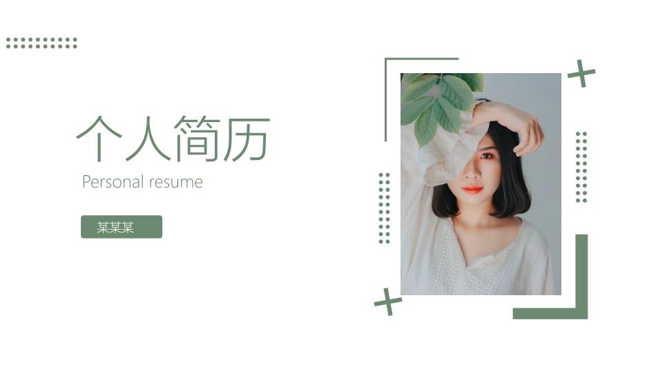 个人简历求职自我介绍197.pptx_第1页