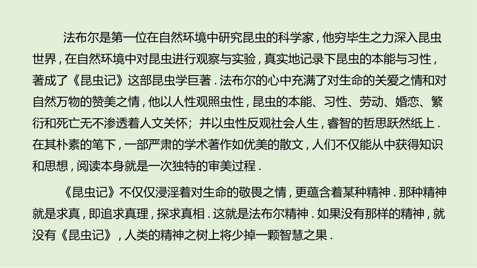 昆虫记ppt课件模板2款7.pptx_第3页