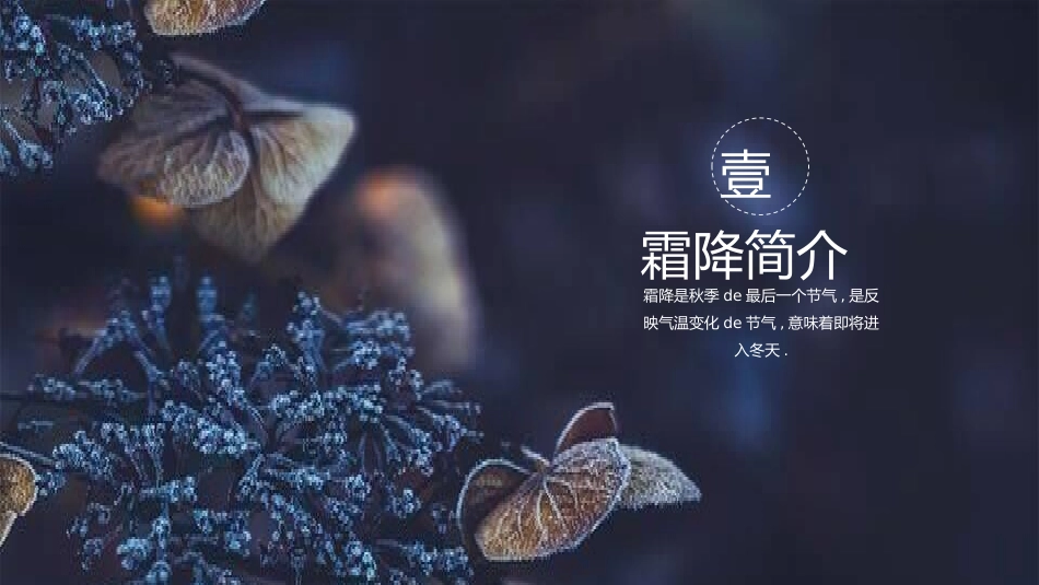 二十四节气之霜降模板23.pptx_第3页