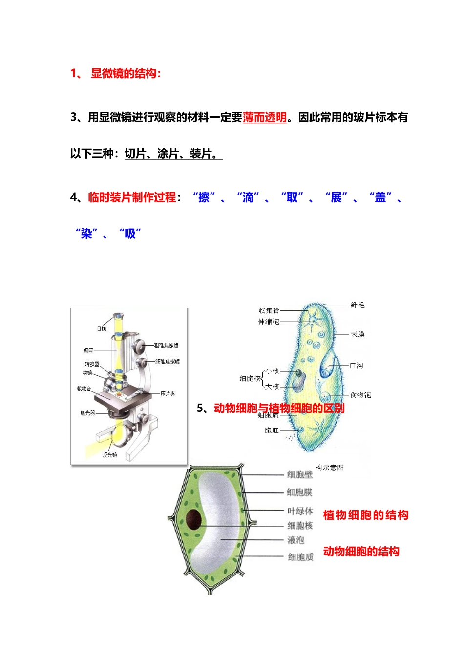 (完整版)七年级上册生物重点知识预习提纲.doc_第3页