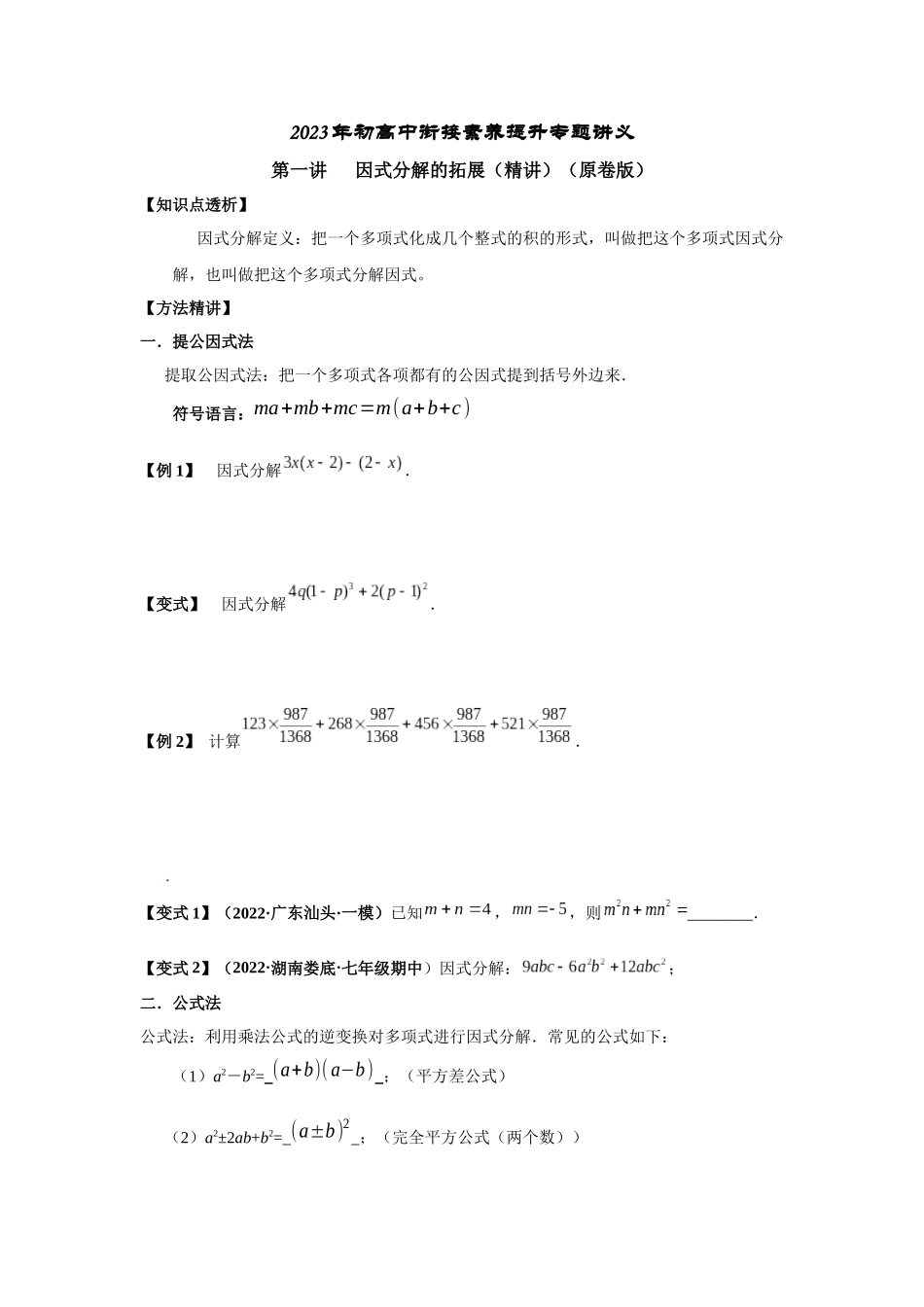 2023年初高中衔接素养提升专题讲义    第一讲   因式分解的拓展（精讲）（原卷版）.docx_第1页