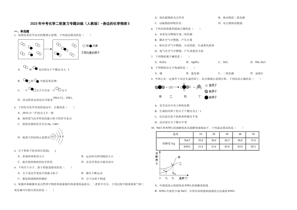 2023年中考化学二轮复习专题训练（人教版）-身边的化学物质5.docx_第1页