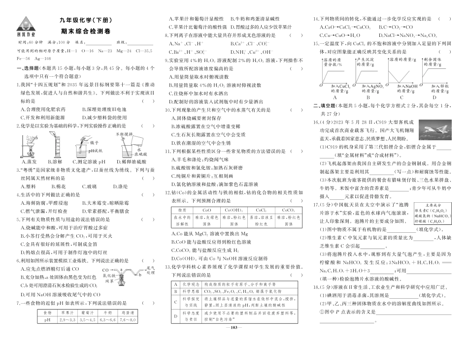 初中化学《期中试卷》9下册（人教版）-人九化学全册复习.pdf_第1页