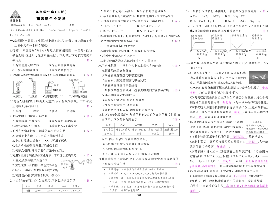 初中化学《期中试卷》9下册（人教版）-人九化学全册复习答案.pdf_第1页
