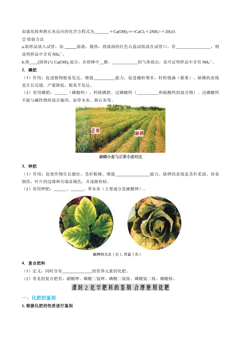 第07讲 化学肥料-【寒假自学课】2024年九年级化学寒假提升学与练（人教版）（原卷版）.docx_第3页