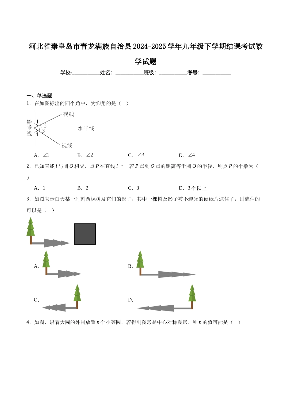 河北省秦皇岛市青龙满族自治县2025届九年级下学期结课考试数学试卷（含解析）.docx_第1页