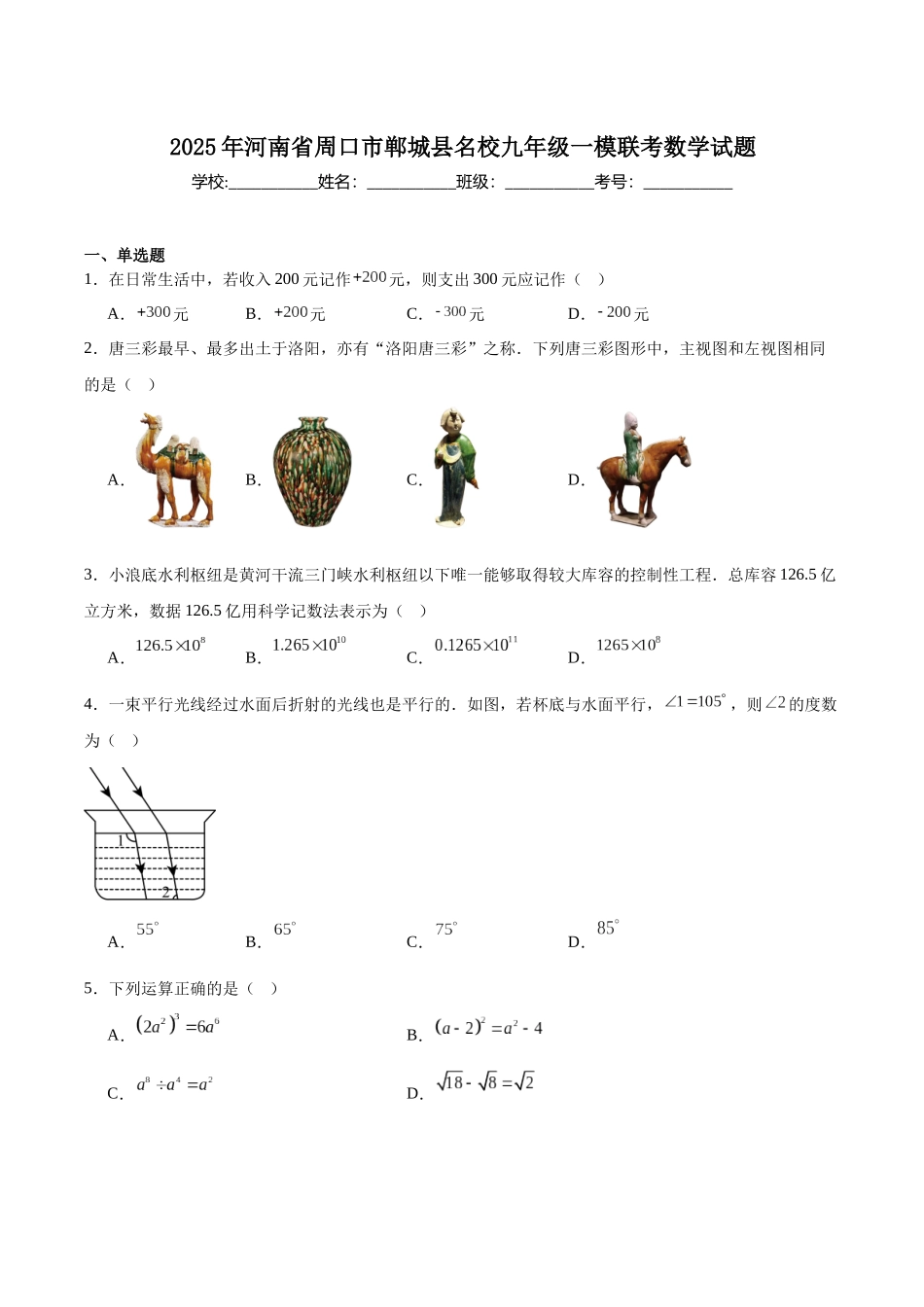 河南省周口市郸城县名校联考2025届九年级下学期中考一模数学试卷（含解析）.docx_第1页