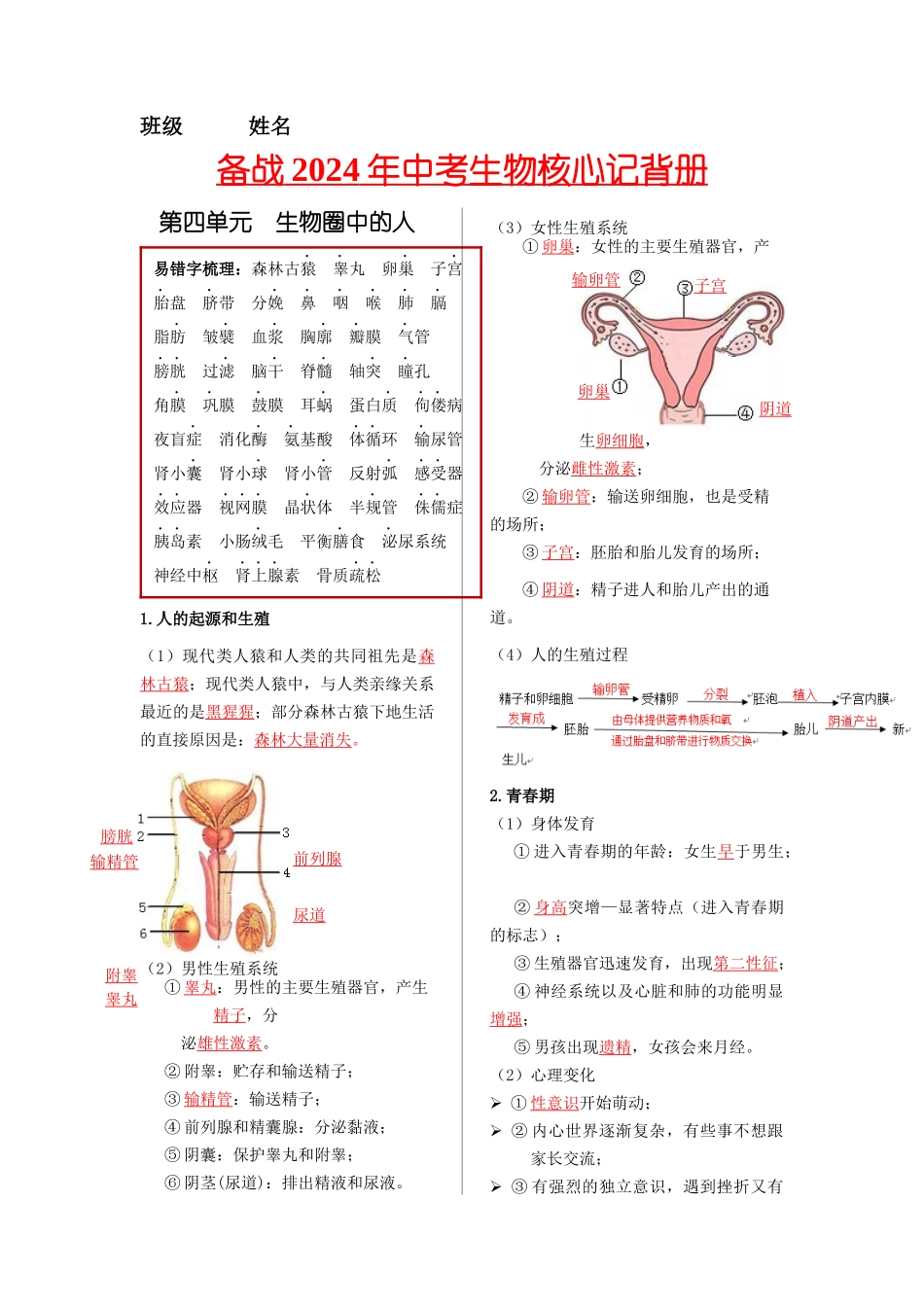 七年级生物下册-【核心记背册】备战2024年中考生物核心考点精华必背.docx_第1页