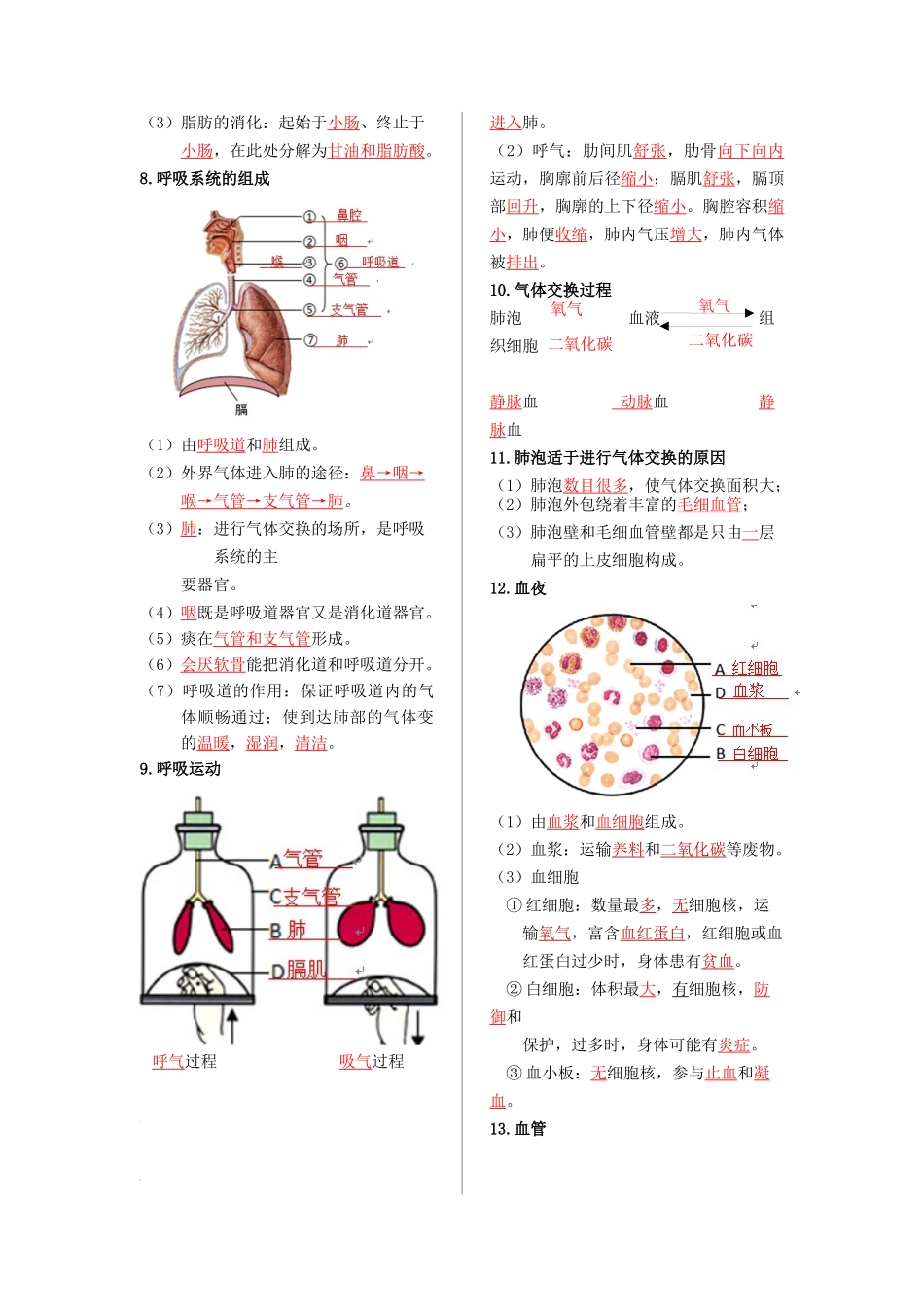 七年级生物下册-【核心记背册】备战2024年中考生物核心考点精华必背.docx_第3页