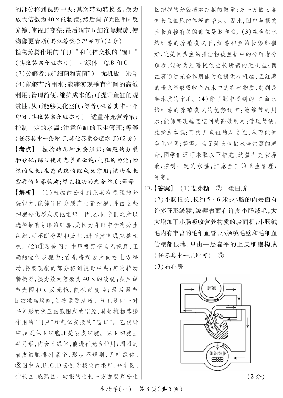 生物学答案超详解山西省2025年初中学业水平考试模拟测评（一）.pdf_第3页