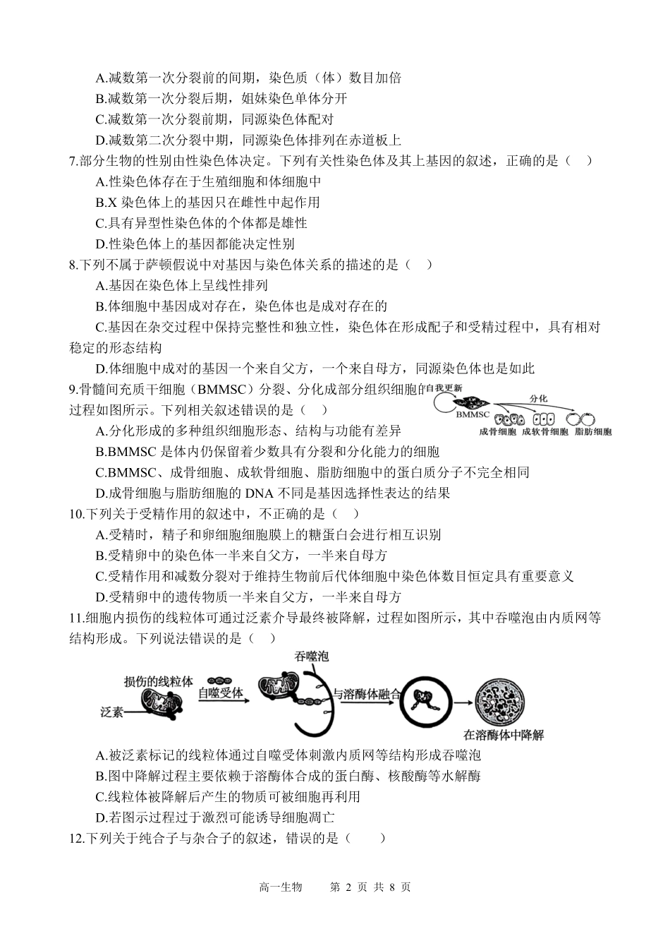四川省遂宁市射洪中学2024-2025学年高一下学期期中考试 生物试题.pdf_第2页