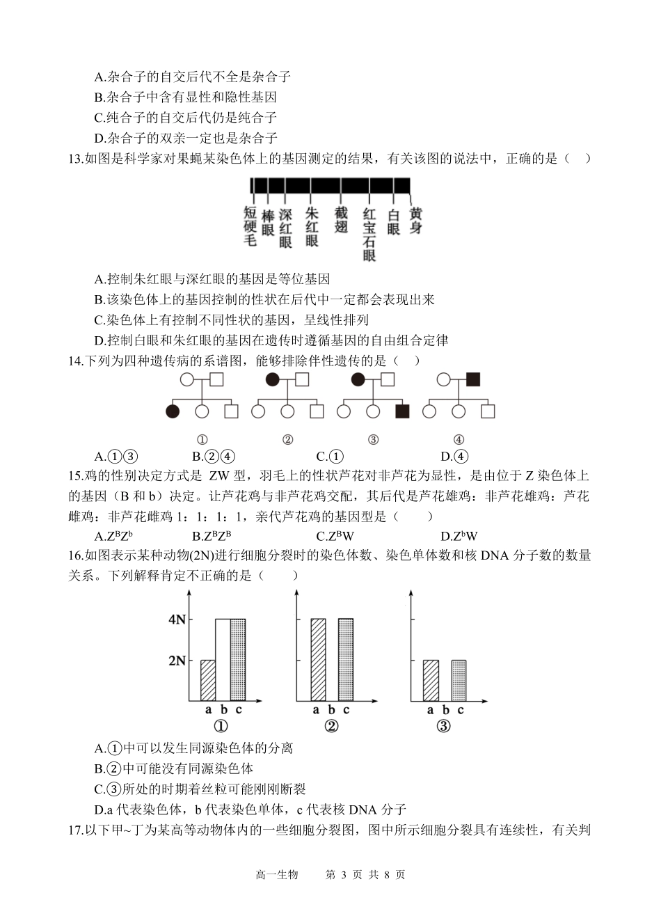 四川省遂宁市射洪中学2024-2025学年高一下学期期中考试 生物试题.pdf_第3页